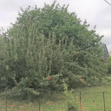 Weidenblick Appartement