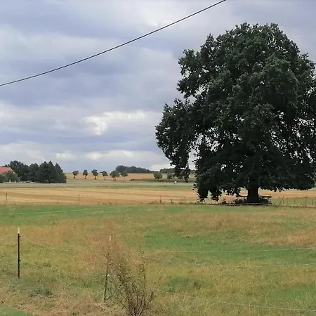 Weidenblick Апартаменты *