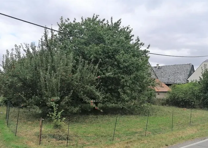 Weidenblick * Callenberg