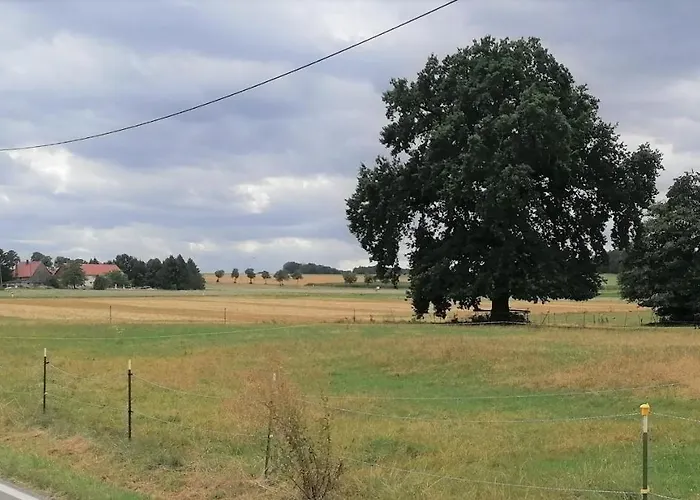 Weidenblick Апартаменты *